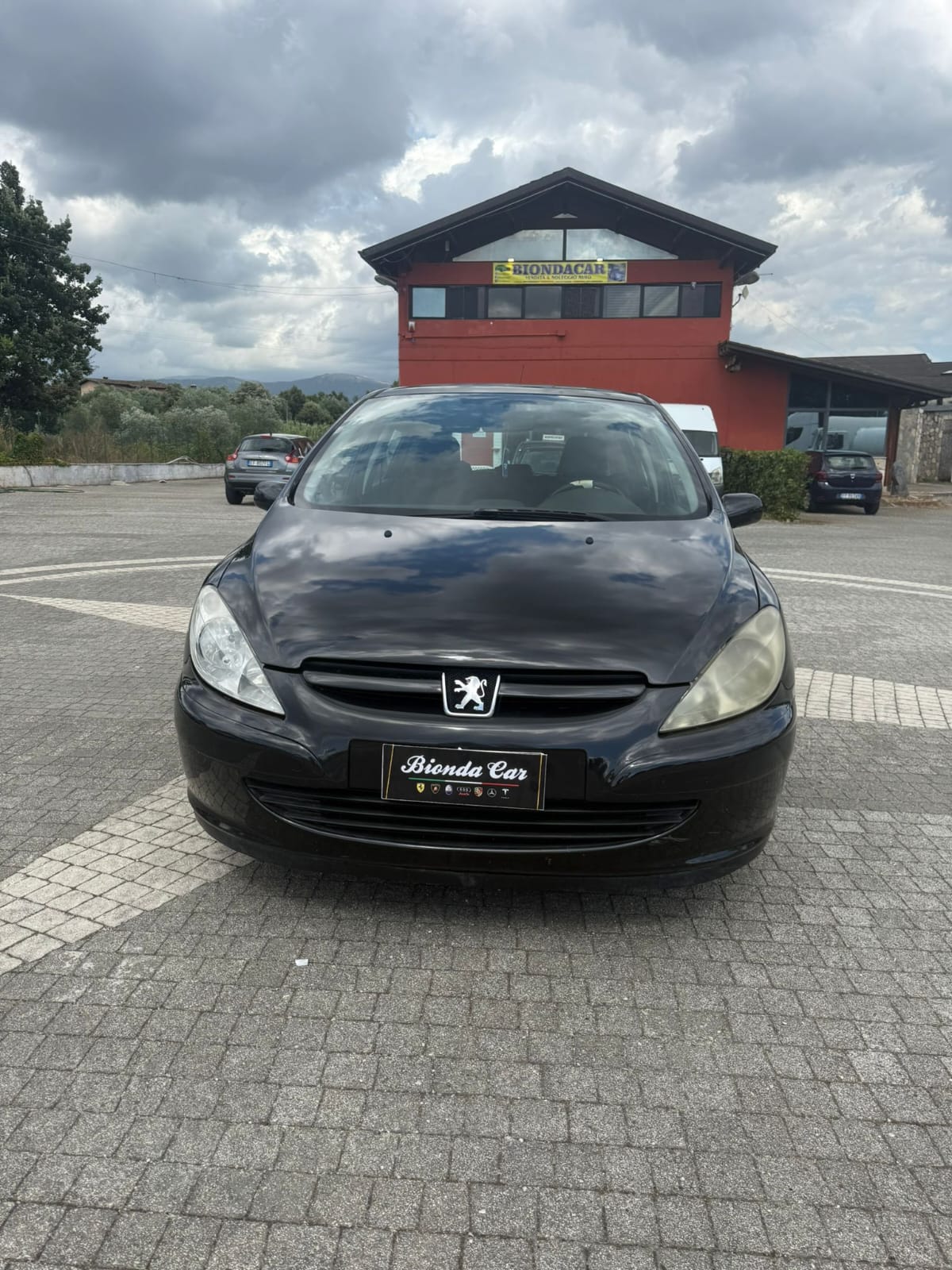 PEUGEOT 307