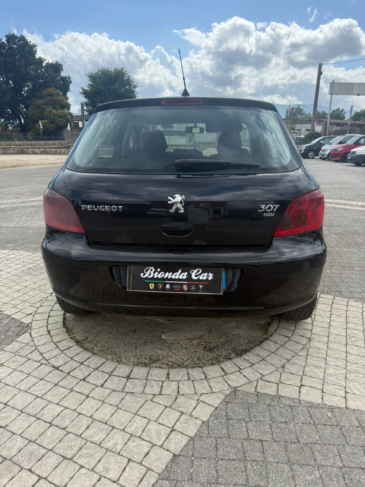 PEUGEOT 307